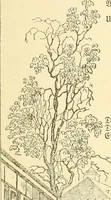 An illustration from The songs and music of Friedrich Froebel's Mother play (Mutter und kose lieder) (1901)