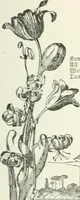 An illustration from The Songs and music of Friedrich Froebel's Mother play : (Mutter und kose lieder) : songs newly translated and furnished with new music (1895)