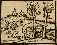 Picture 5 of 68 from Æsopi Phrygis Fabulae graece et latine, cum aliis quibusdam opusculis : quorum indicem sequens pagella indicabit (1616), leaf 142