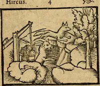Picture 6 of 68 from Æsopi Phrygis Fabulae graece et latine, cum aliis quibusdam opusculis : quorum indicem sequens pagella indicabit (1616), leaf 143