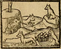 An illustration from Æsopi Phrygis Fabulae graece et latine, cum aliis quibusdam opusculis : quorum indicem sequens pagella indicabit (1616)