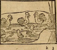 An illustration from Æsopi Phrygis Fabulae graece et latine, cum aliis quibusdam opusculis : quorum indicem sequens pagella indicabit (1616)