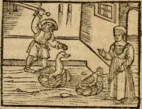 Picture 16 of 68 from Æsopi Phrygis Fabulae graece et latine, cum aliis quibusdam opusculis : quorum indicem sequens pagella indicabit (1616), leaf 170
