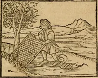 An illustration from Æsopi Phrygis Fabulae graece et latine, cum aliis quibusdam opusculis : quorum indicem sequens pagella indicabit (1616)