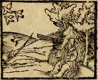 Picture 33 of 68 from Æsopi Phrygis Fabulae graece et latine, cum aliis quibusdam opusculis : quorum indicem sequens pagella indicabit (1616), leaf 205