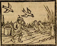 Picture 37 of 68 from Æsopi Phrygis Fabulae graece et latine, cum aliis quibusdam opusculis : quorum indicem sequens pagella indicabit (1616), leaf 214