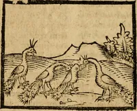 An illustration from Æsopi Phrygis Fabulae graece et latine, cum aliis quibusdam opusculis : quorum indicem sequens pagella indicabit (1616)
