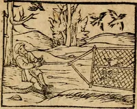 Picture 39 of 68 from Æsopi Phrygis Fabulae graece et latine, cum aliis quibusdam opusculis : quorum indicem sequens pagella indicabit (1616), leaf 218