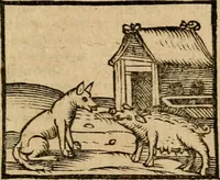 Picture 45 of 68 from Æsopi Phrygis Fabulae graece et latine, cum aliis quibusdam opusculis : quorum indicem sequens pagella indicabit (1616), leaf 236