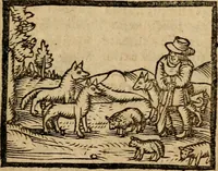 An illustration from Æsopi Phrygis Fabulae graece et latine, cum aliis quibusdam opusculis : quorum indicem sequens pagella indicabit (1616)