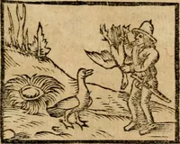 Picture 48 of 68 from Æsopi Phrygis Fabulae graece et latine, cum aliis quibusdam opusculis : quorum indicem sequens pagella indicabit (1616), leaf 244