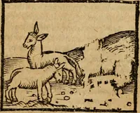 An illustration from Æsopi Phrygis Fabulae graece et latine, cum aliis quibusdam opusculis : quorum indicem sequens pagella indicabit (1616)