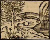 An illustration from Æsopi Phrygis Fabulae graece et latine, cum aliis quibusdam opusculis : quorum indicem sequens pagella indicabit (1616)