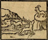 An illustration from Æsopi Phrygis Fabulae graece et latine, cum aliis quibusdam opusculis : quorum indicem sequens pagella indicabit (1616)