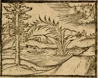 An illustration from Æsopi Phrygis Fabulae graece et latine, cum aliis quibusdam opusculis : quorum indicem sequens pagella indicabit (1616)