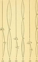 An illustration from Sound (1895)