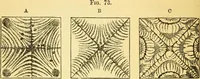 An illustration from Sound (1895)