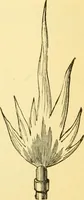 An illustration from Sound (1895)