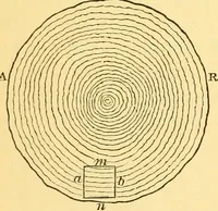 An illustration from Sound (1895)