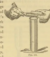 An illustration from Sound (1905)