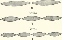 An illustration from Sound (1897)