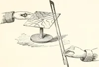 An illustration from Sound (1897)