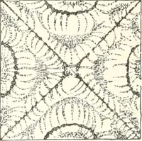 An illustration from Sound (1897)
