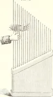 An illustration from Sound (1897)
