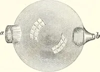 An illustration from Sound (1897)