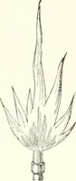 An illustration from Sound (1897)