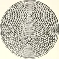 An illustration from Sound (1897)