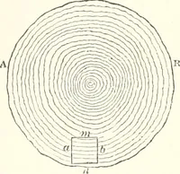An illustration from Sound (1897)