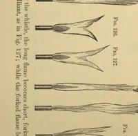 Picture 2 of 3 from Sound (1898), leaf 271
