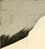 An illustration from Southern textile bulletin (1911)