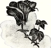 An illustration from Southern textile bulletin (1911)