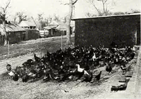 An illustration from Southern textile bulletin (1911)