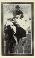 An illustration from Souvenir catalogue and feather price list : season 1910-1911 (1910)