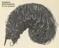 Picture 6 of 13 from Souvenir catalogue and feather price list : season 1910-1911 (1910), leaf 18