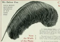 Picture 7 of 13 from Souvenir catalogue and feather price list : season 1910-1911 (1910), leaf 23