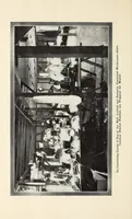 An illustration from Souvenir catalogue and feather price list : season 1910-1911 (1910)