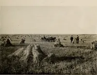 An illustration from Souvenir views of Alberta : the land of sunshine (1906)