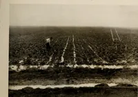 An illustration from Souvenir views of Alberta : the land of sunshine (1906)