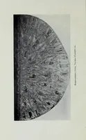 Picture 9 of 37 from Spain; a study of her life and arts (1909), leaf 276