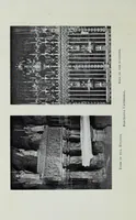 Picture 14 of 37 from Spain; a study of her life and arts (1909), leaf 446