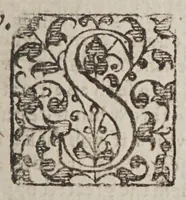 An illustration from The Spanish Mandevile of Myracles. Or The Garden of curious Flowers (1618)