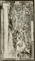 An illustration from The Spanish royal tapastries (1921)