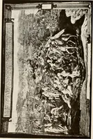 An illustration from The Spanish royal tapastries (1921)