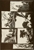 An illustration from The Spanish royal tapastries (1921)