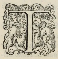 An illustration from Specchio di scienze et compendio delle cose, d'Oratio Rinaldi bolognese : nel quale sommariamente si trouano raccolte le materie più notabili, che da' studiosi d'ogni scienza possono desiderarsi, ridotte tutte sotto i suoi capi vniuersali : nvovamente posto in lvce (1583)