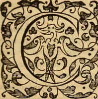 An illustration from Special and chosen sermons of D. Martin Lvther, collected ovt of his writings and preachings for the necessary instruction and edification of such as hunger and seeke after the perfect knowledge and inestimable glorie which is in Christ Iesu, to the comfort and saluation of their soules (1578)